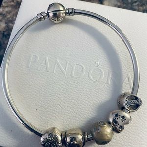 Authentic Pandora DOG Lover Bracelet